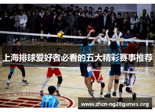 上海排球爱好者必看的五大精彩赛事推荐