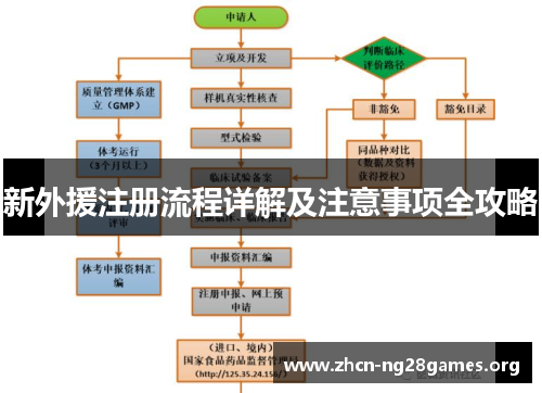 新外援注册流程详解及注意事项全攻略