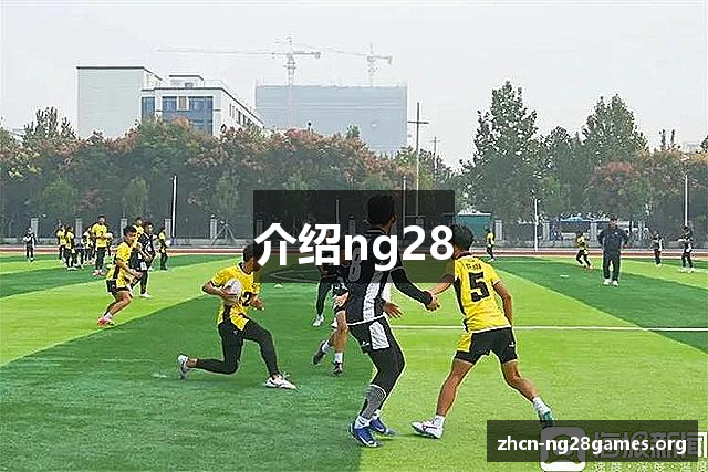 介绍ng28